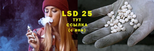 spice Аркадак