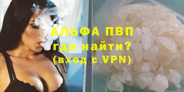 spice Аркадак
