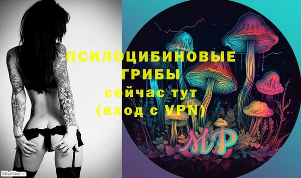 бошки Арсеньев