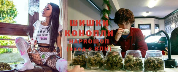 spice Аркадак
