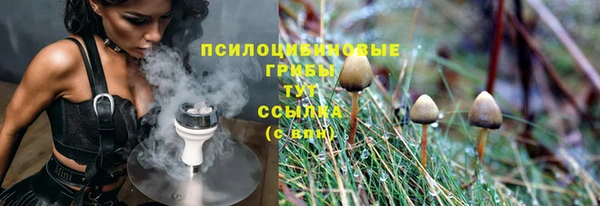 бошки Арсеньев