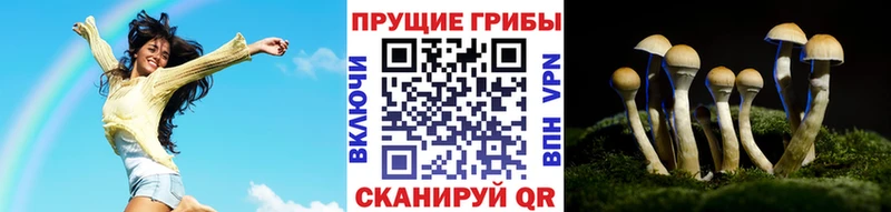 что такое   Салехард  Псилоцибиновые грибы мицелий 