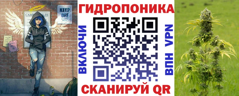 где купить наркоту  Салехард  Каннабис VHQ 